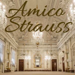 Amico strauss - Made with PosterMyWall